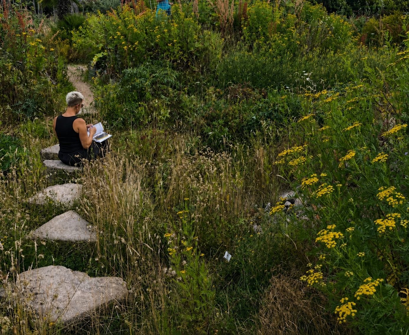 Anna sketching in her notebook, sat on stone steps among wildflowers and grasses