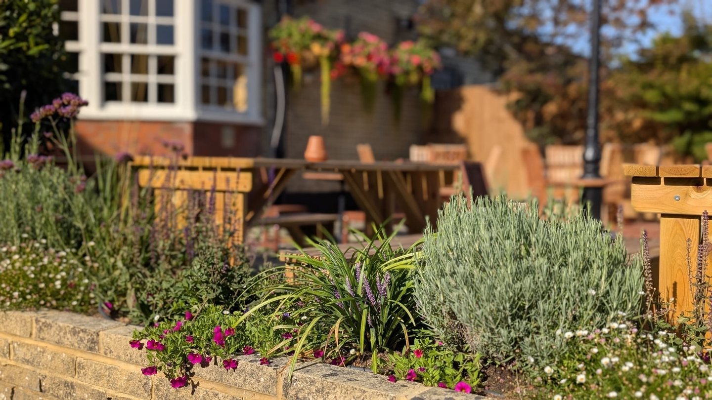 Raised beds of lavender and perennials beside the terrace at The Builders Arms